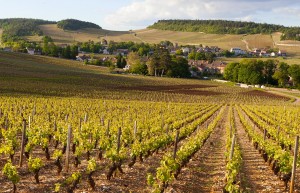 Burgundy, Chablis and Grand Auxerrois