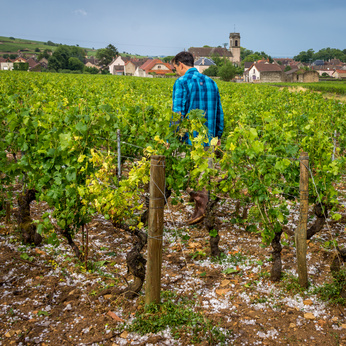 Thunderstorms in Burgundy