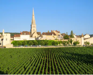 Meursault: great white wine from Burgundy