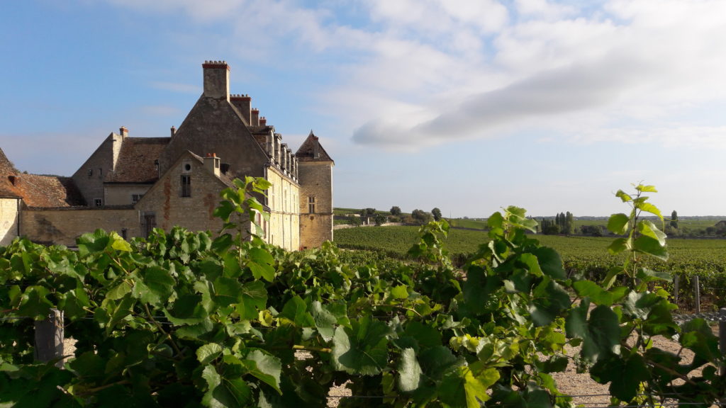 Castle of the Clos de Vougeot