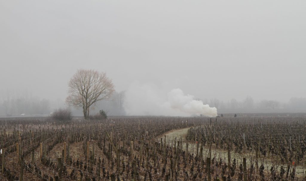 Was machen Winzer im Winter?