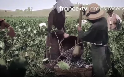 France 3 zendt een prachtige documentaire uit over de geschiedenis van wijnboeren